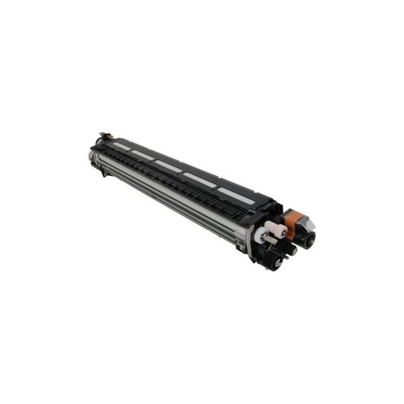 Ricoh D2423091