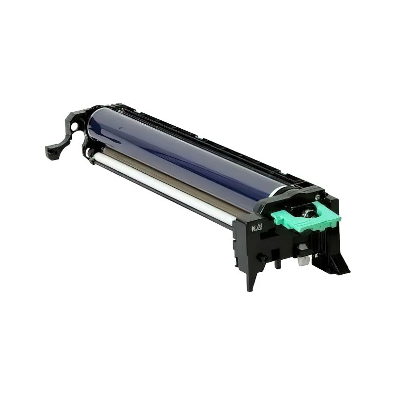 Ricoh D1442251